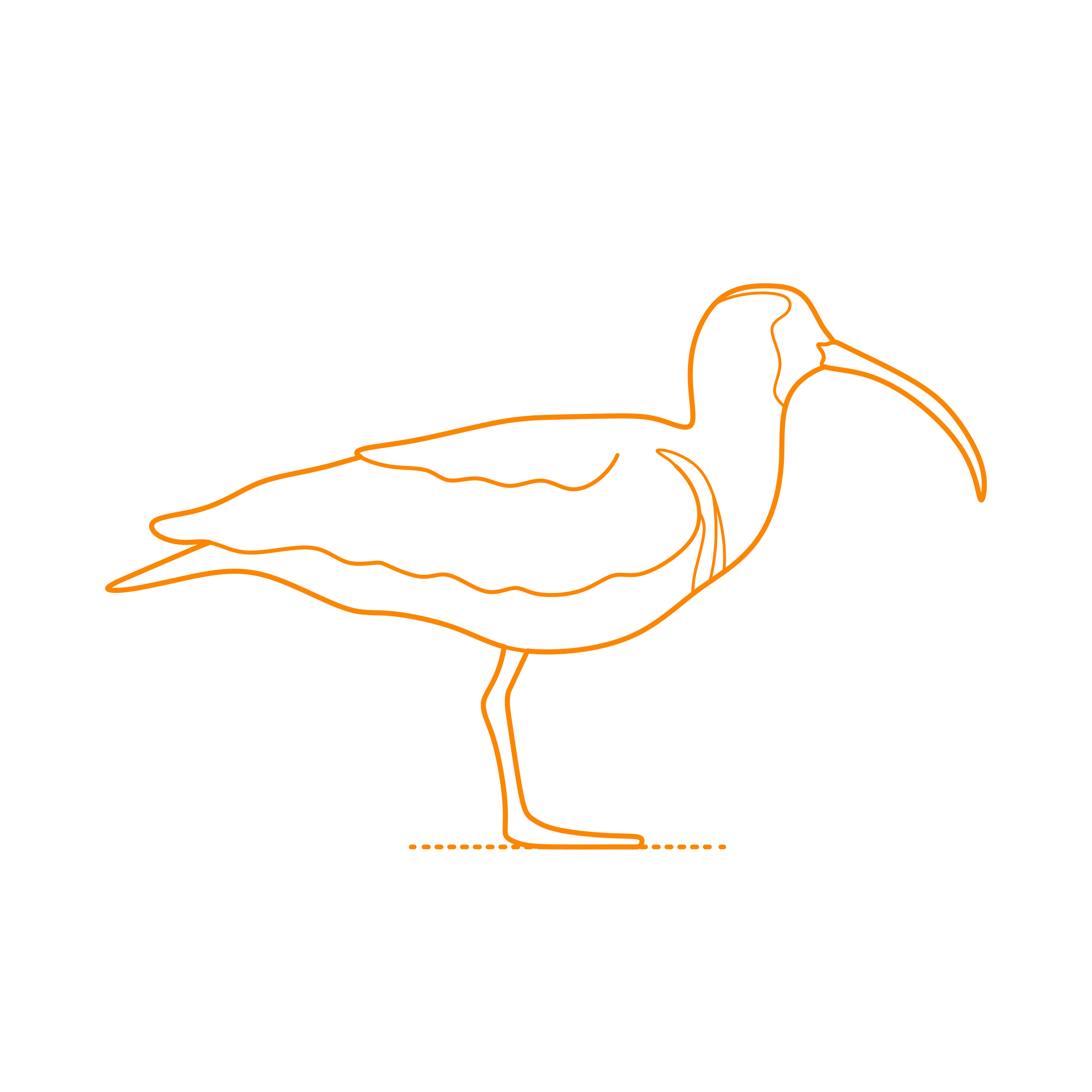 Animals Shorebirds Ibisbill Sticker Outline Svg File Free Vectors